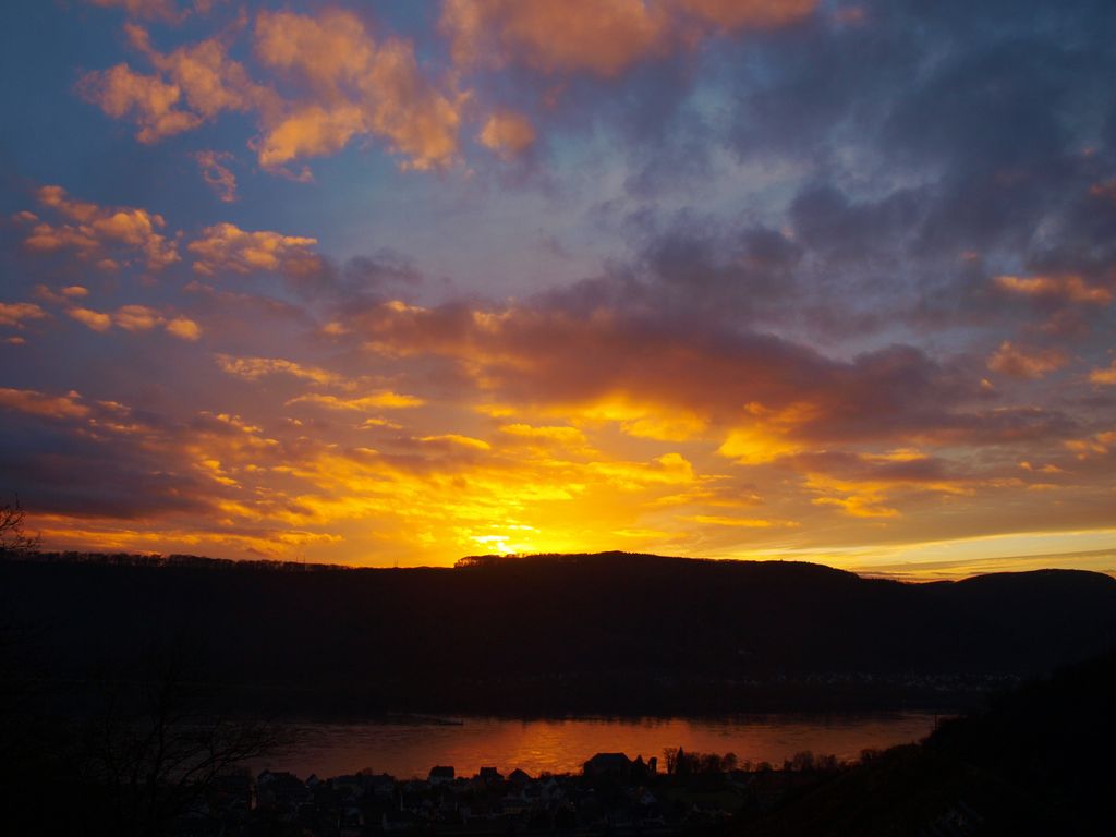 Emplacement dans le parc à gibier sur le sentier de randonnée Rheinsteig