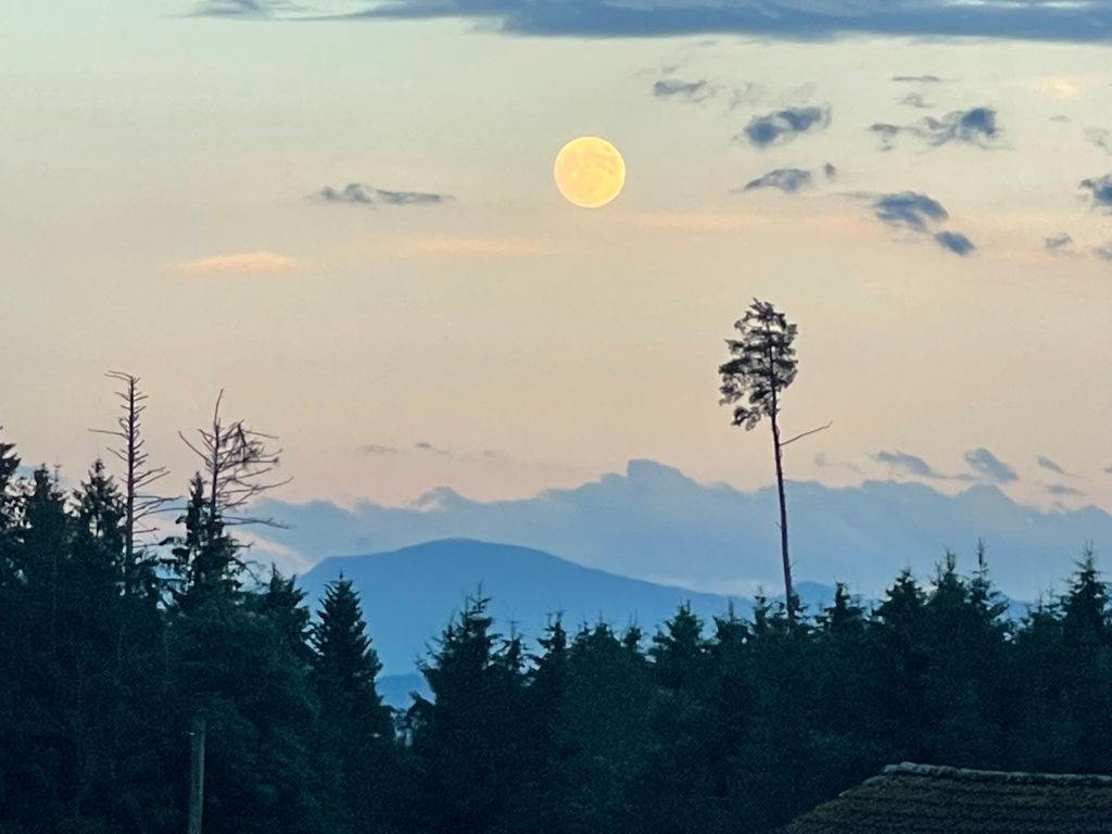 Emplacement naturel au coin des trois pays avec gastronomie