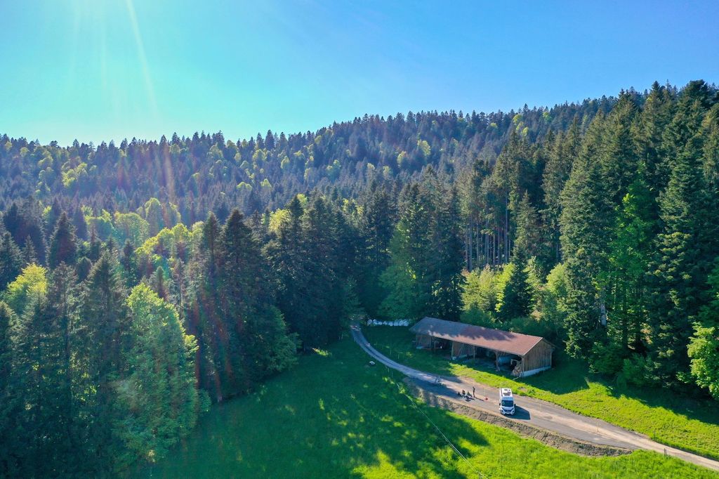 Herrliche Aussicht auf die Allgäuer Bergwelt
