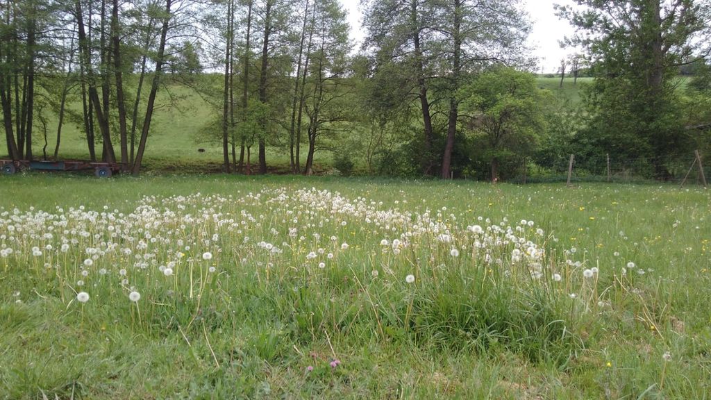 Camping de la pradera cerca de Rudolstadt en el carril bici del molino