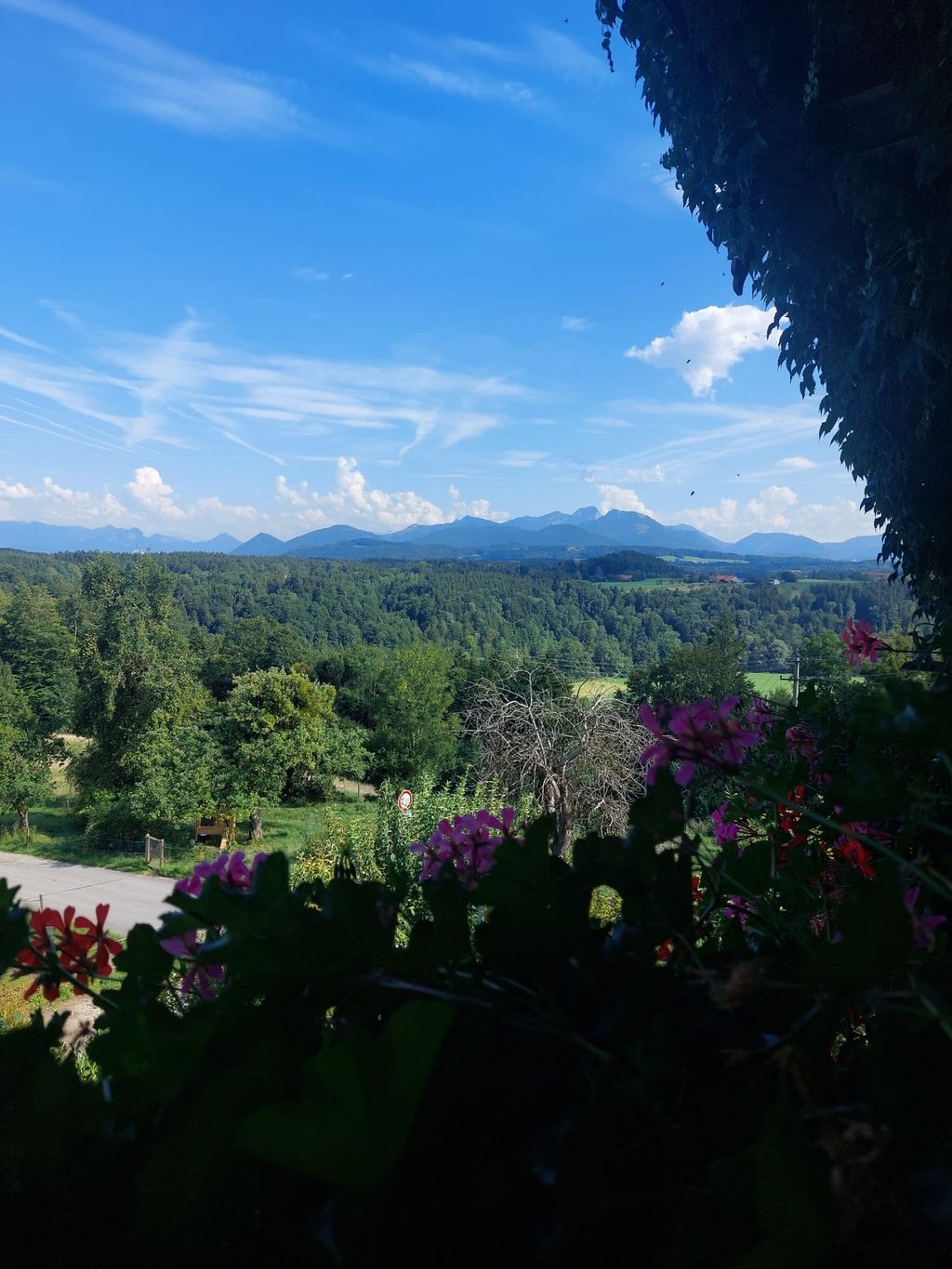 Farm with beautiful view
