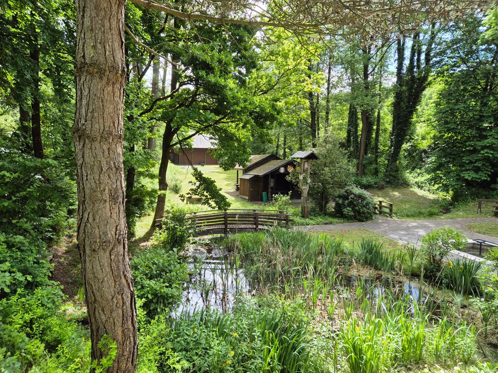 Wohlfühlen im Hochsauerland im schönen Wennetal