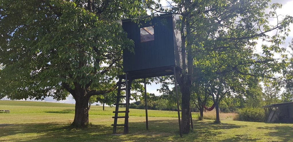 Small cozy tree house