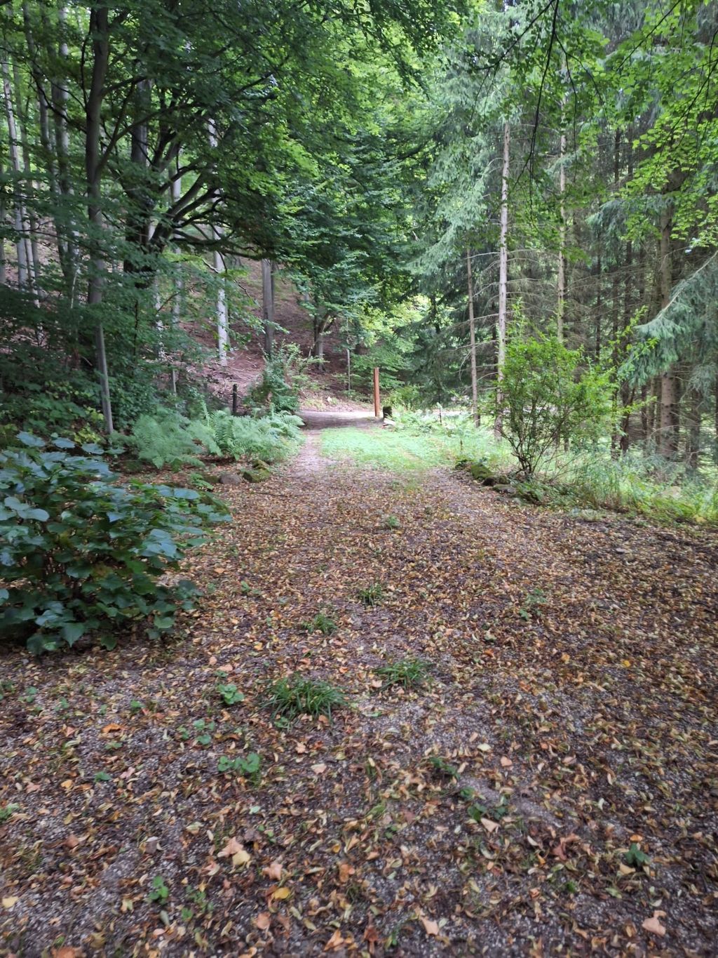 Privater Campingplatz mit Meißner-Blick