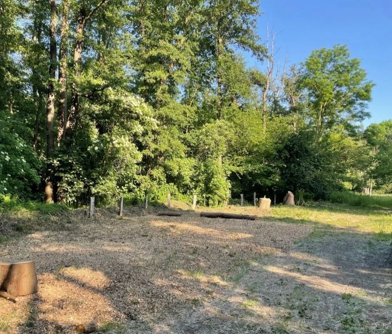 Ruhe & Natur auf ehemaliger Pferdekoppel am Wald