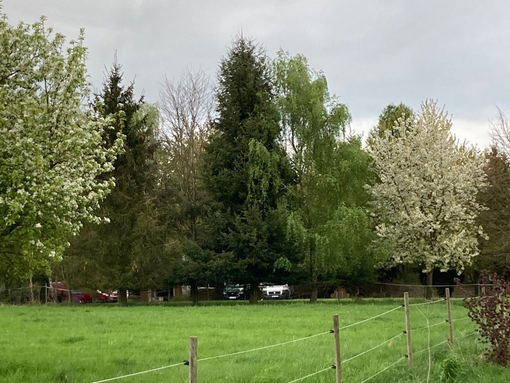 Tranquilidad idílica en el Tannenhof