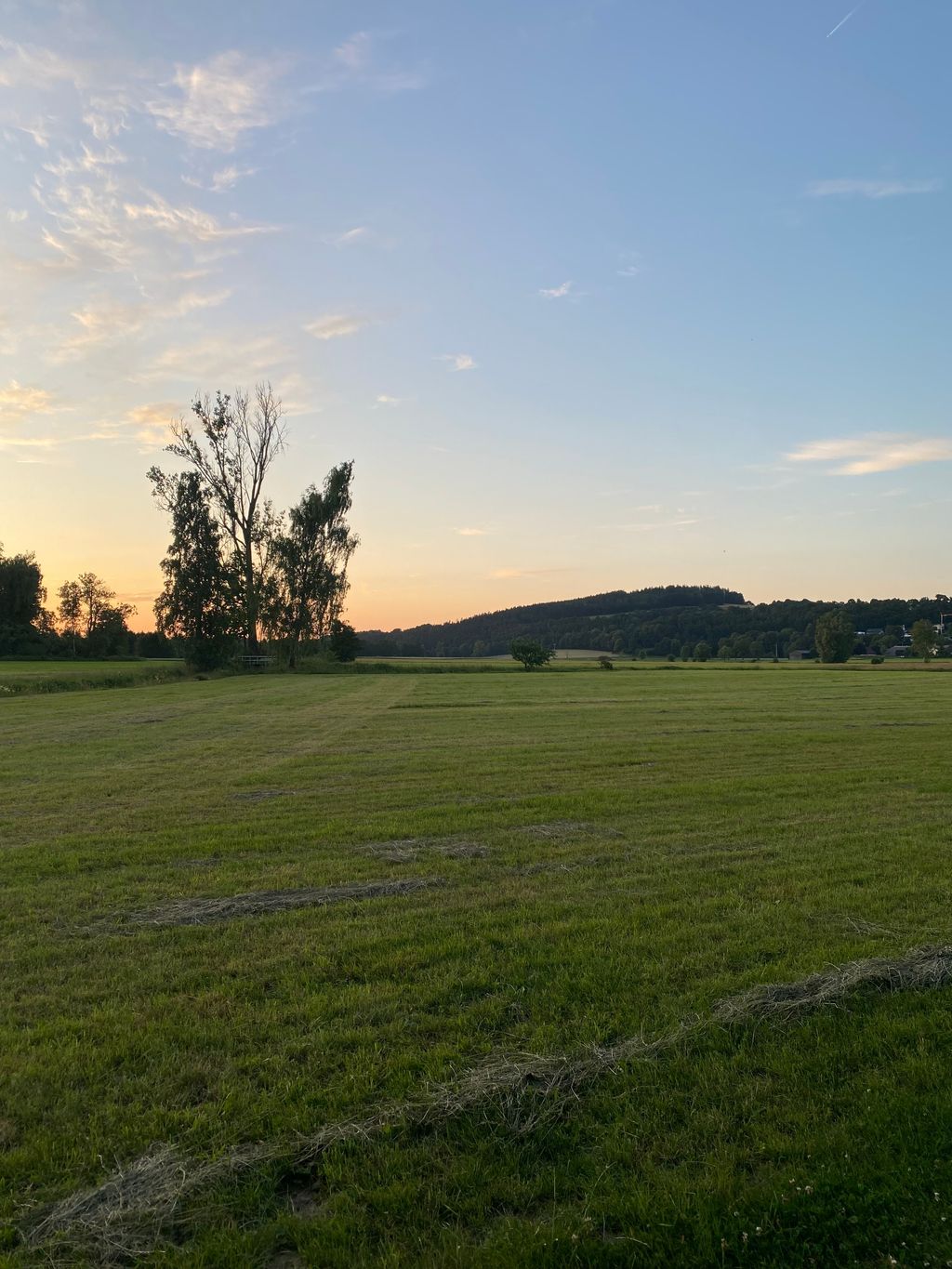 Jardin idyllique à proximité de la ville