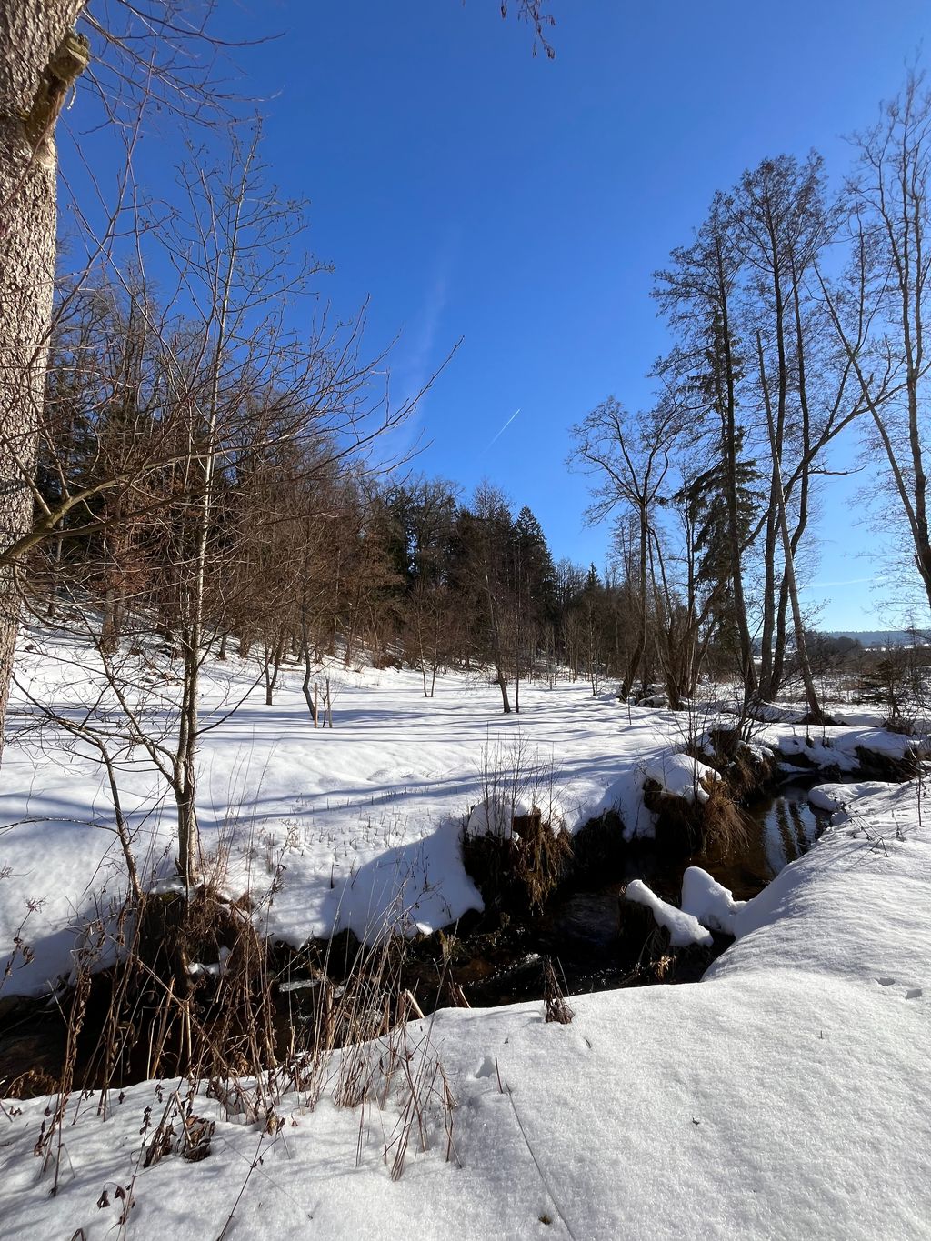 Camping junto al arroyo en una idílica ubicación aislada