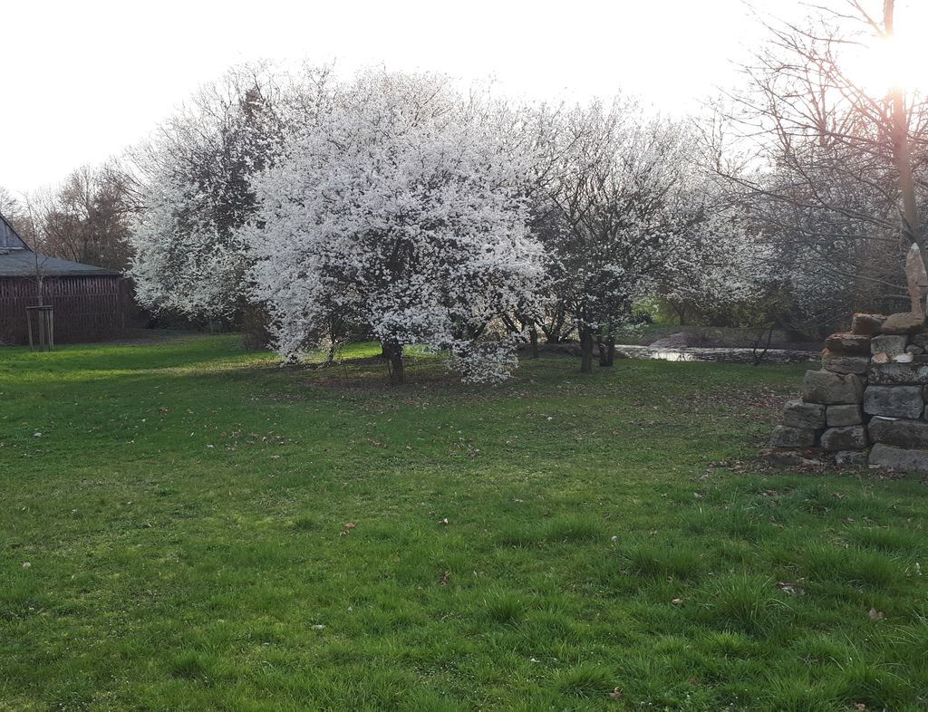 Experience nature near Jena