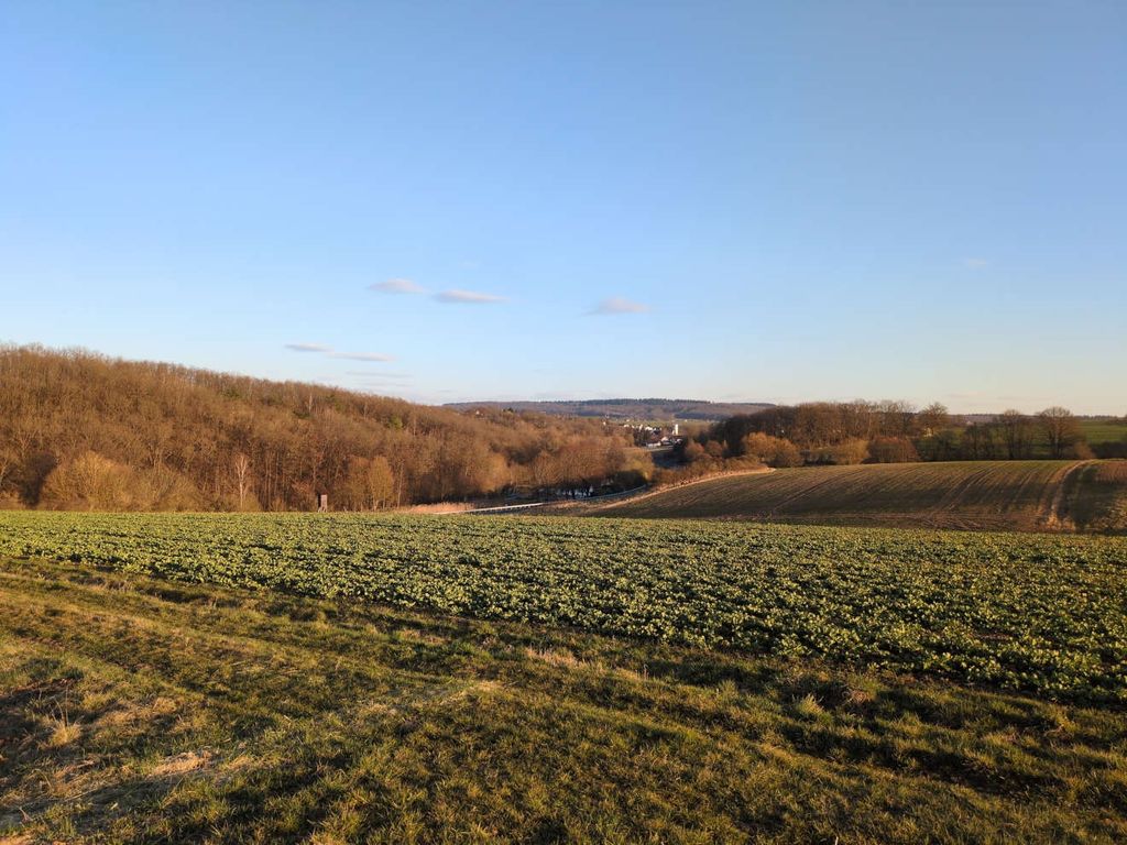 View of the landscape above the Siebenmühlental valley