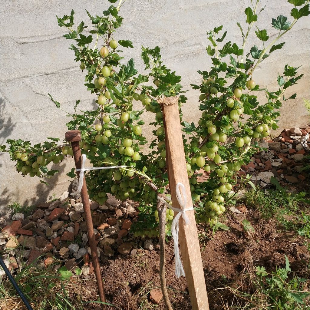 Chillout am Tor zur fränkischen Schweiz