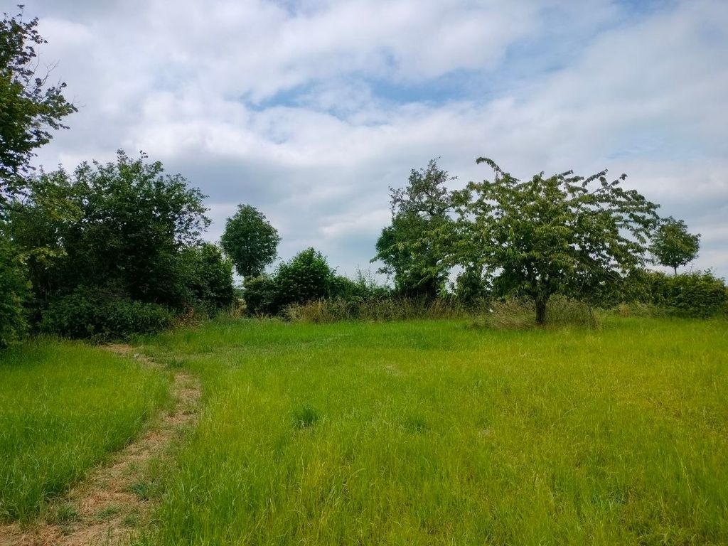 Schöner Wiesen-Stellplatz mit Blick ins Grüne  