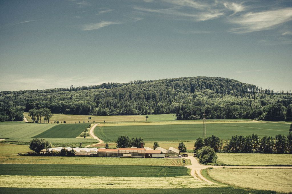 Prato del vivaio con vista idilliaca