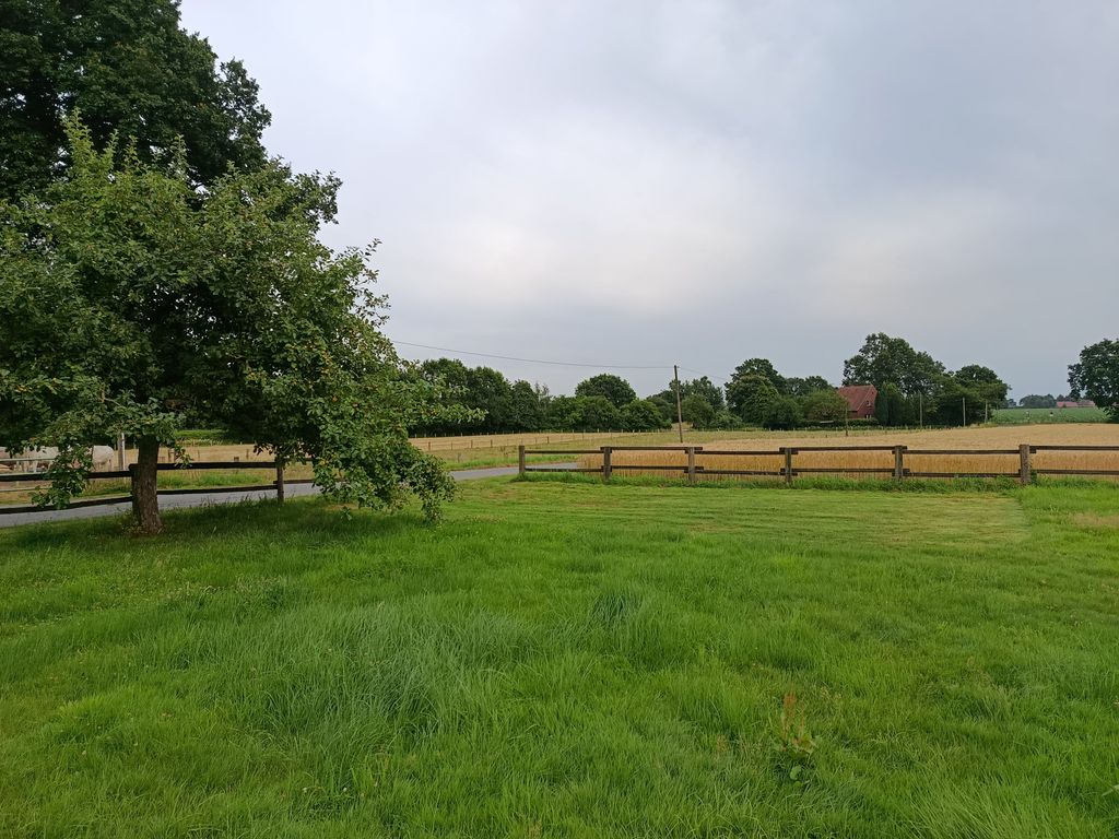 A spot on the lawn next to the fruit trees 