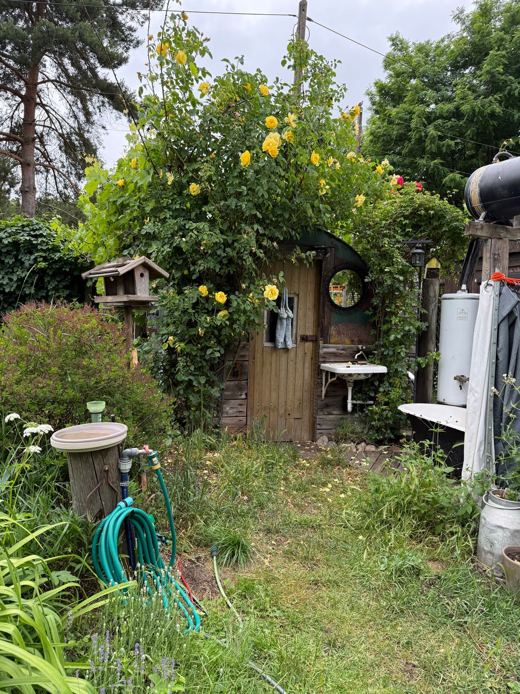 Biete einen Platz am Waldrand in schönem Garten