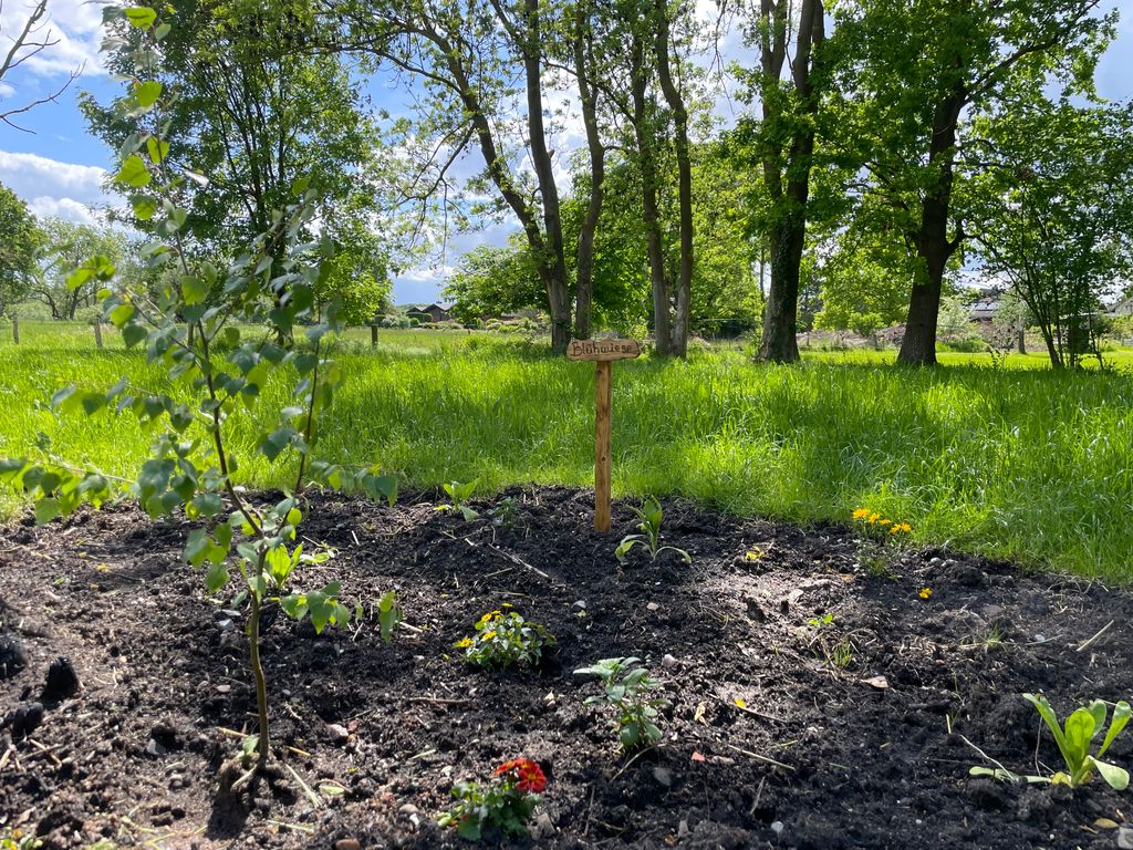 Pace e natura in un ex paddock vicino alla foresta