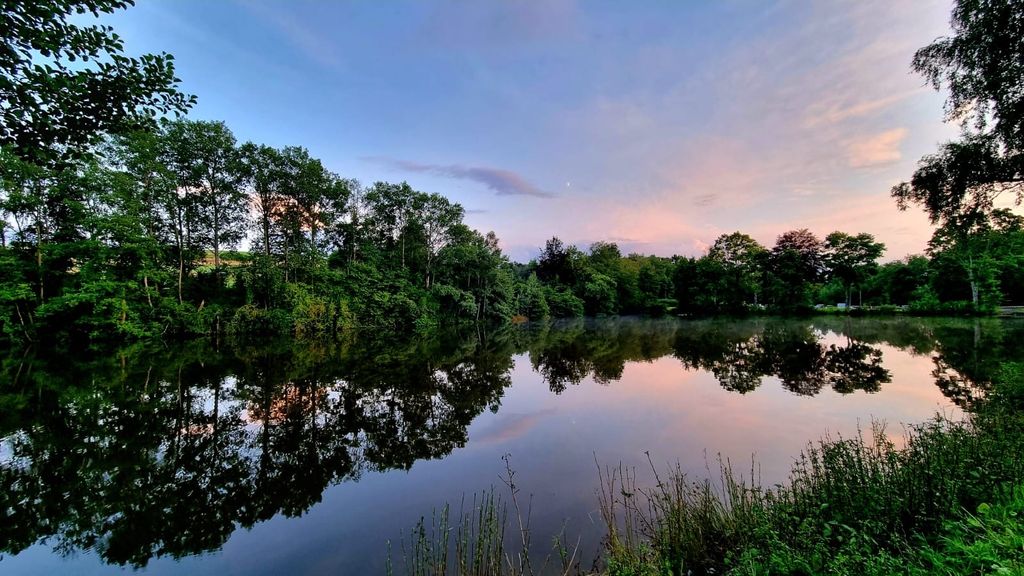 Camping au bord du lac dans le Hunsrück : un cadre naturel idyllique au bord de l'eau
