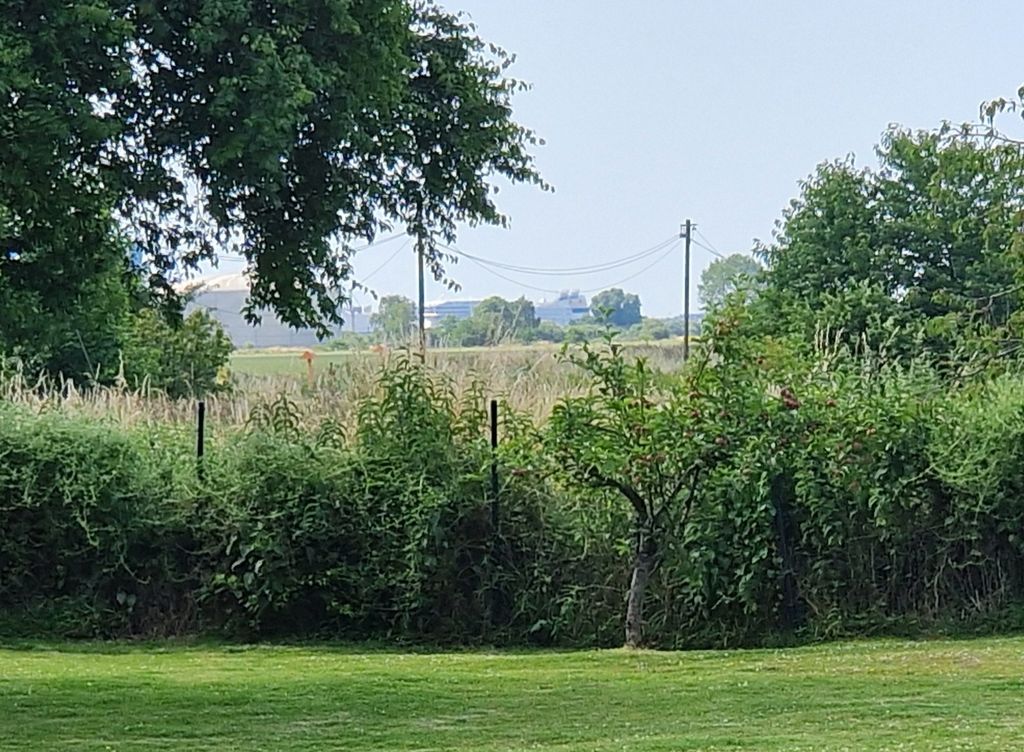 Pradera al borde del campo no lejos del Mar Báltico