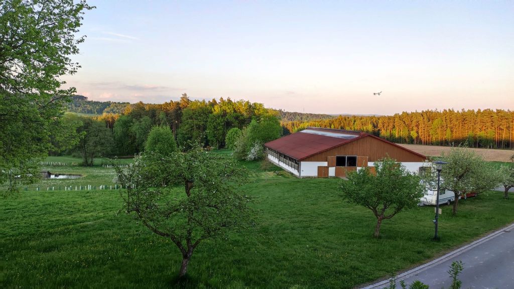 À la campagne, dans la magnifique forêt du Haut-Palatinat