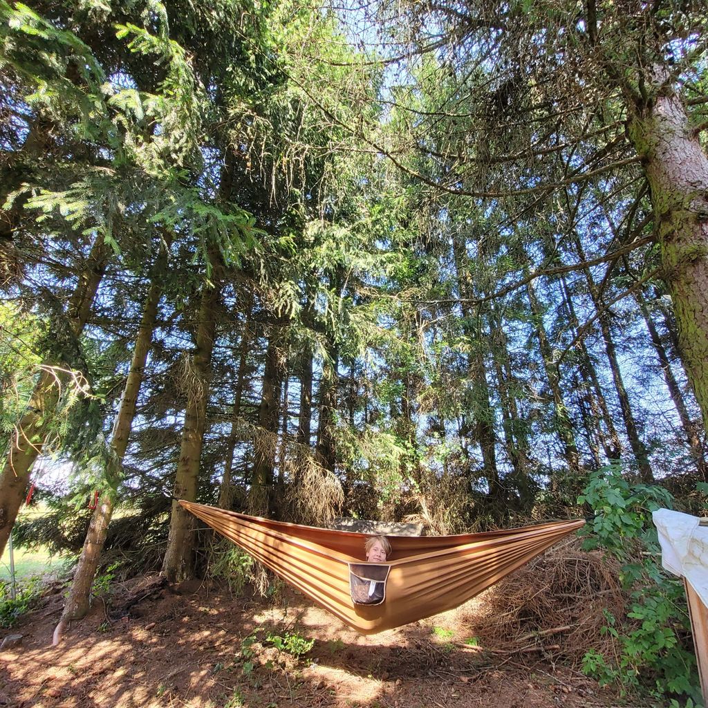 Camping on the alpine pasture and by the stream at 800 meters altitude