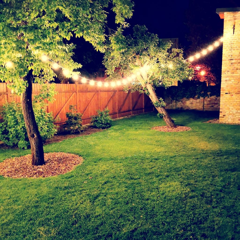 Big-city vibe or nature right on Berlin’s doorstep