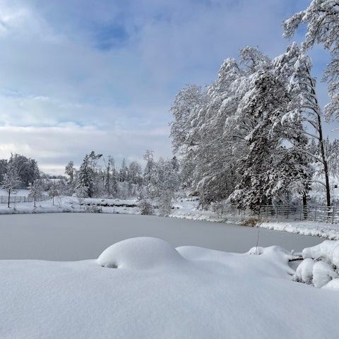 Wilde Heimat, malerische Anlage inmitten der Natur