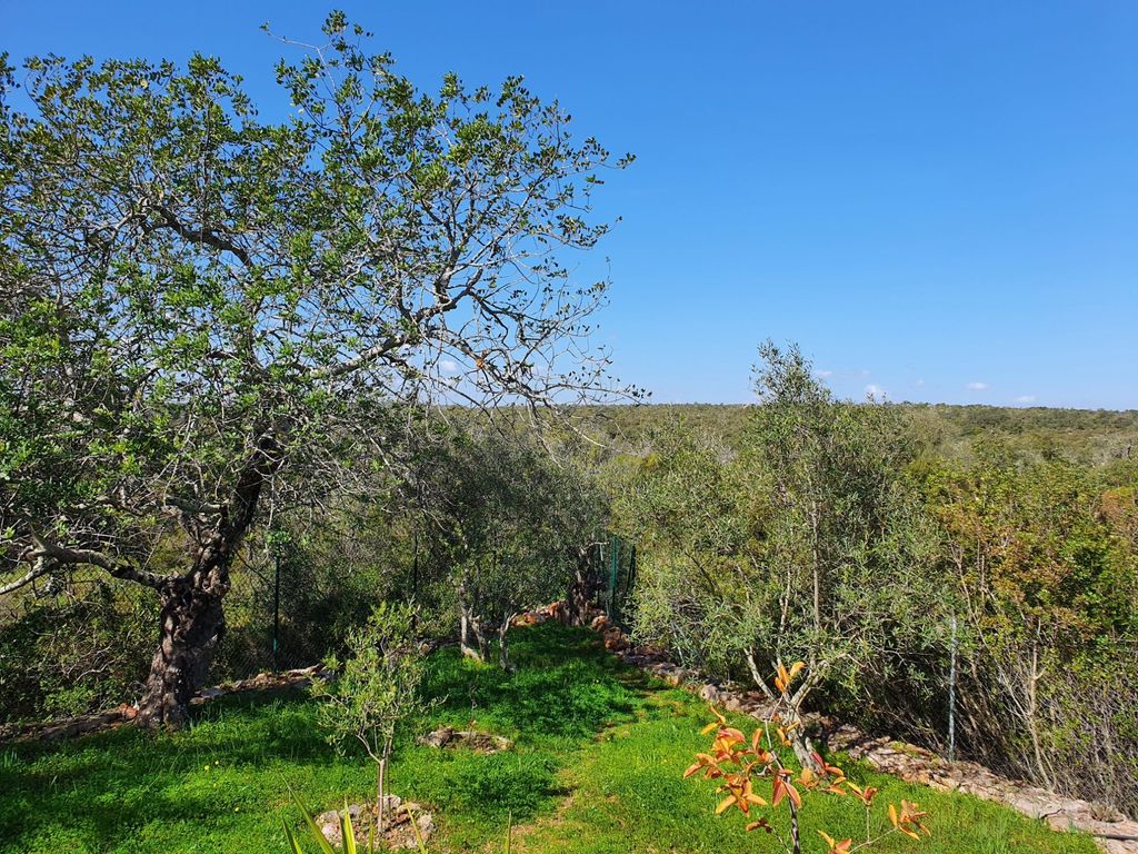 Sonne tanken im Tiny House in der Algarve