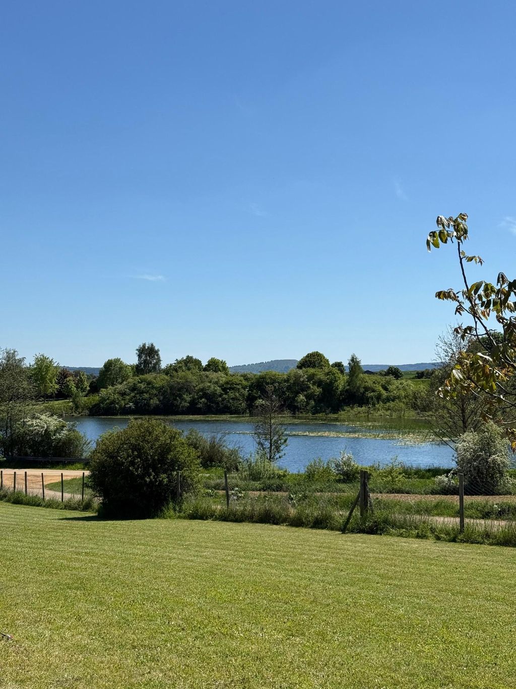 Obstbaumwiese am Badesee 