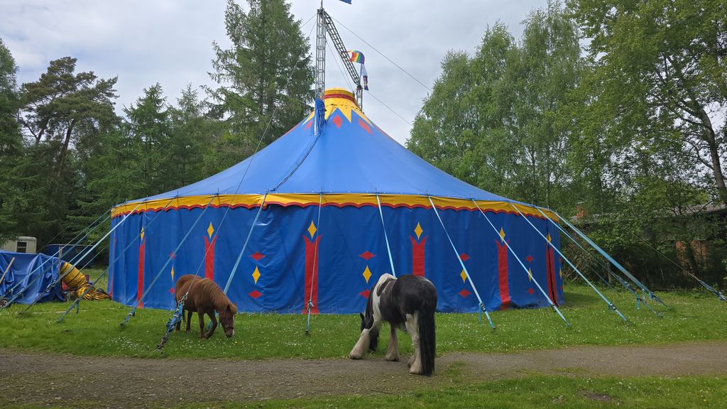 Camp on the Circus Meadow in the middle of the forest