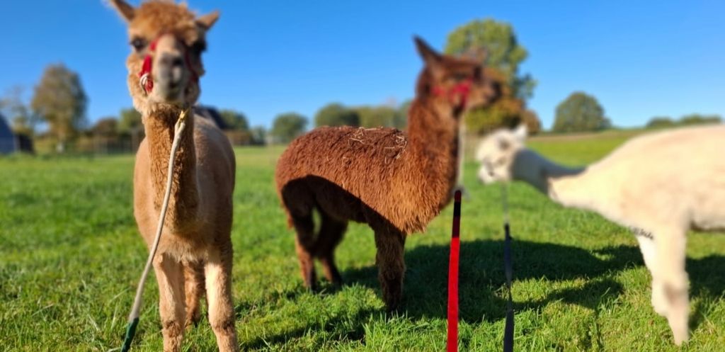 Zusammen die Natur erleben  !