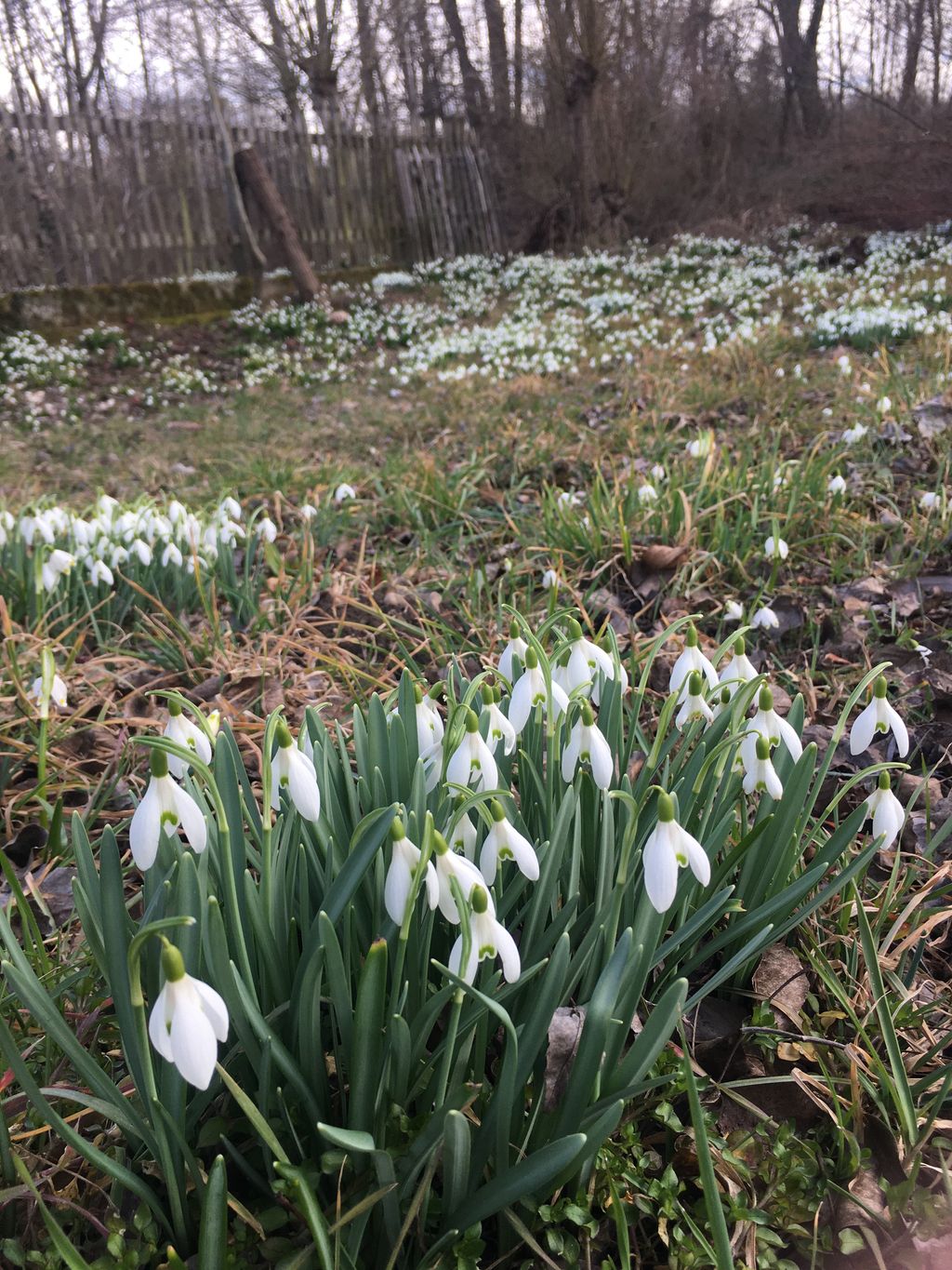 Stellplatz am alten Fischerhaus nahe Wels & Linz