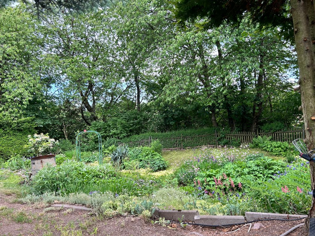 Untere Wiese von oben