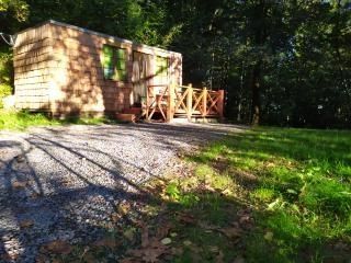 Tiny House dans une ferme de montagne bio avec des ânes