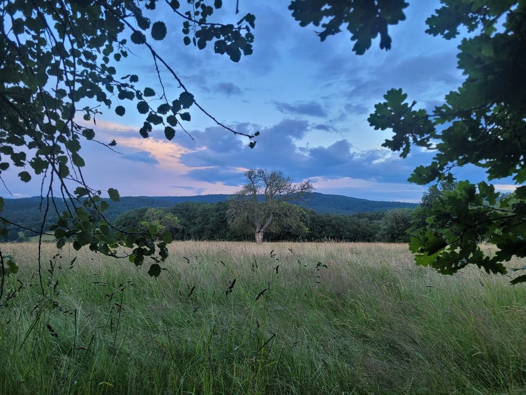 Your natural retreat between the woods and the open countryside