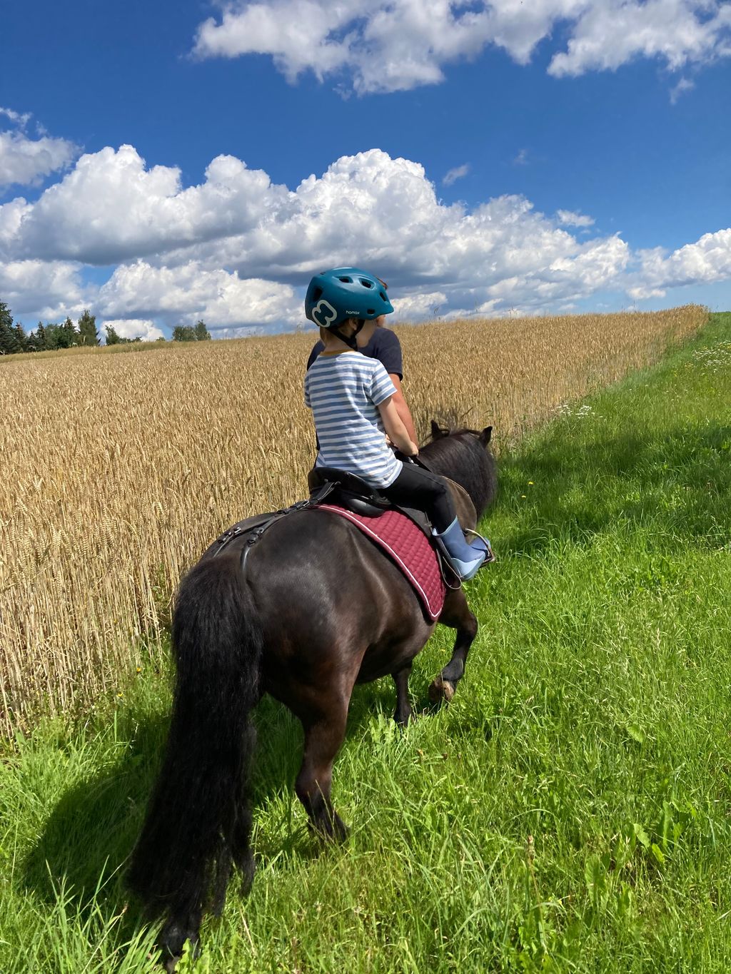 Ruhiger Stellplatz auf Reiterhof
