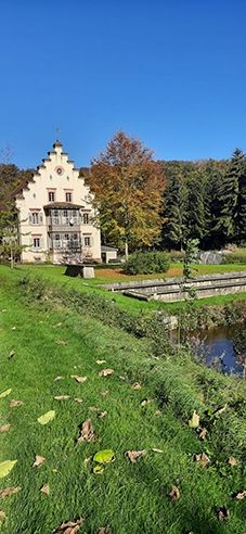 Emplacement près du ruisseau et du lac de baignade dans l'Odenwald 