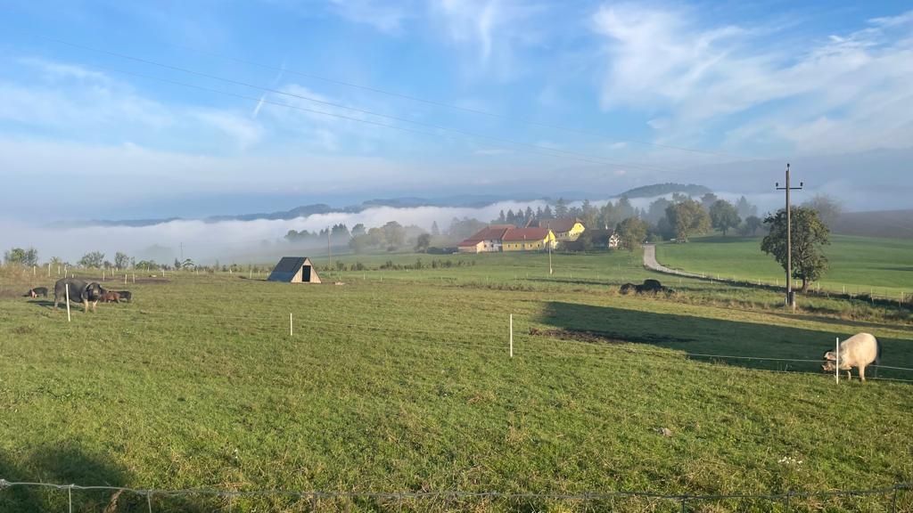 Vacation on the organic farm on the Danube