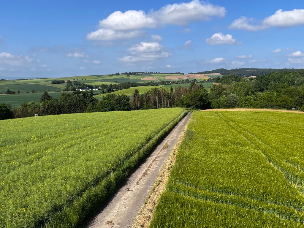 Pace celeste e natura pura (anche per i cavalieri)
