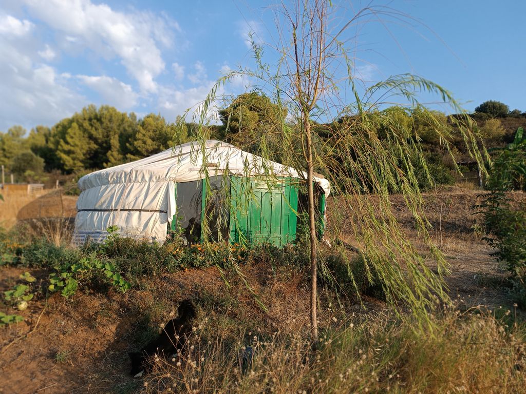 Relax in a Yurt with a unique sea view