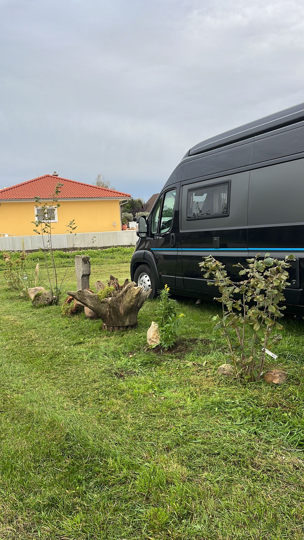 Pitch by the garden kingdoms