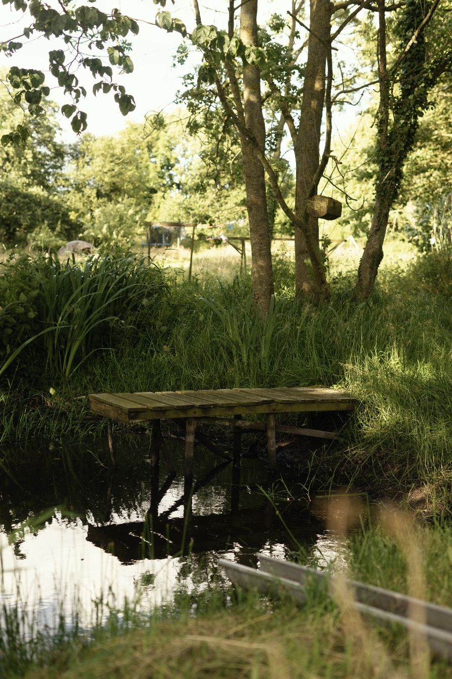 Scheunenwiese am Wald - nur 600m bis zur Ostsee