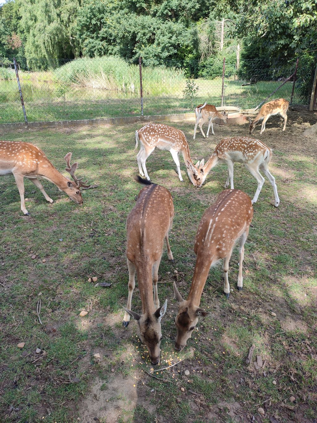  Übernachten am Naturbad am schönen Elberadweg