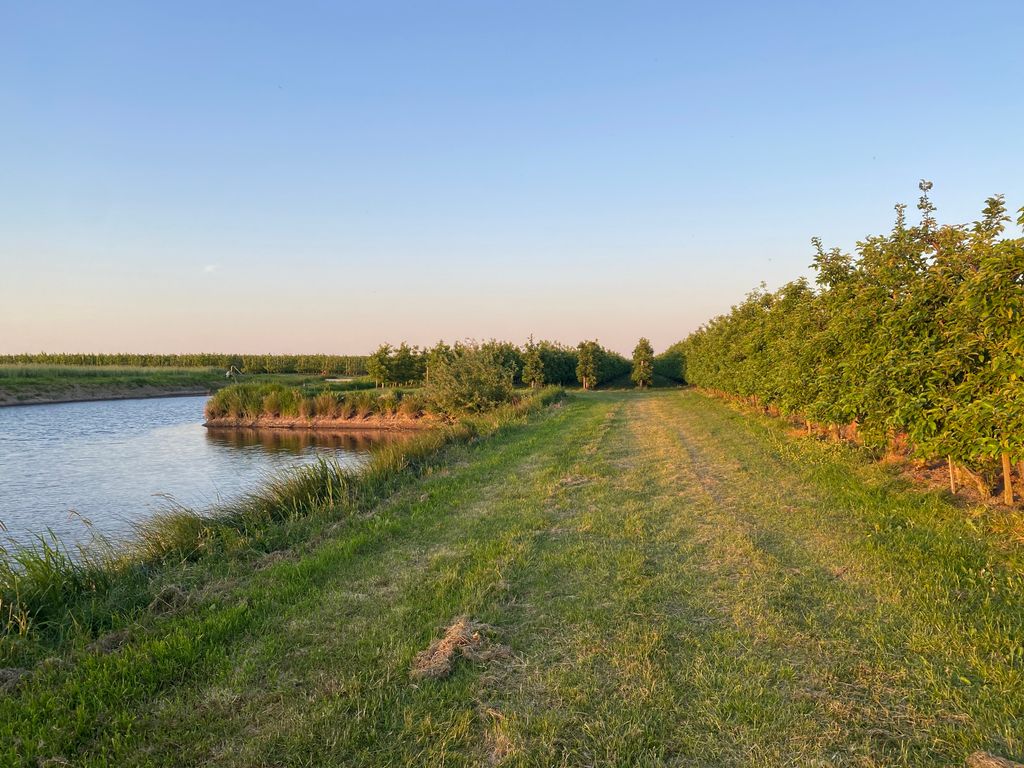 Camping in einer Altländer Apfelplantage