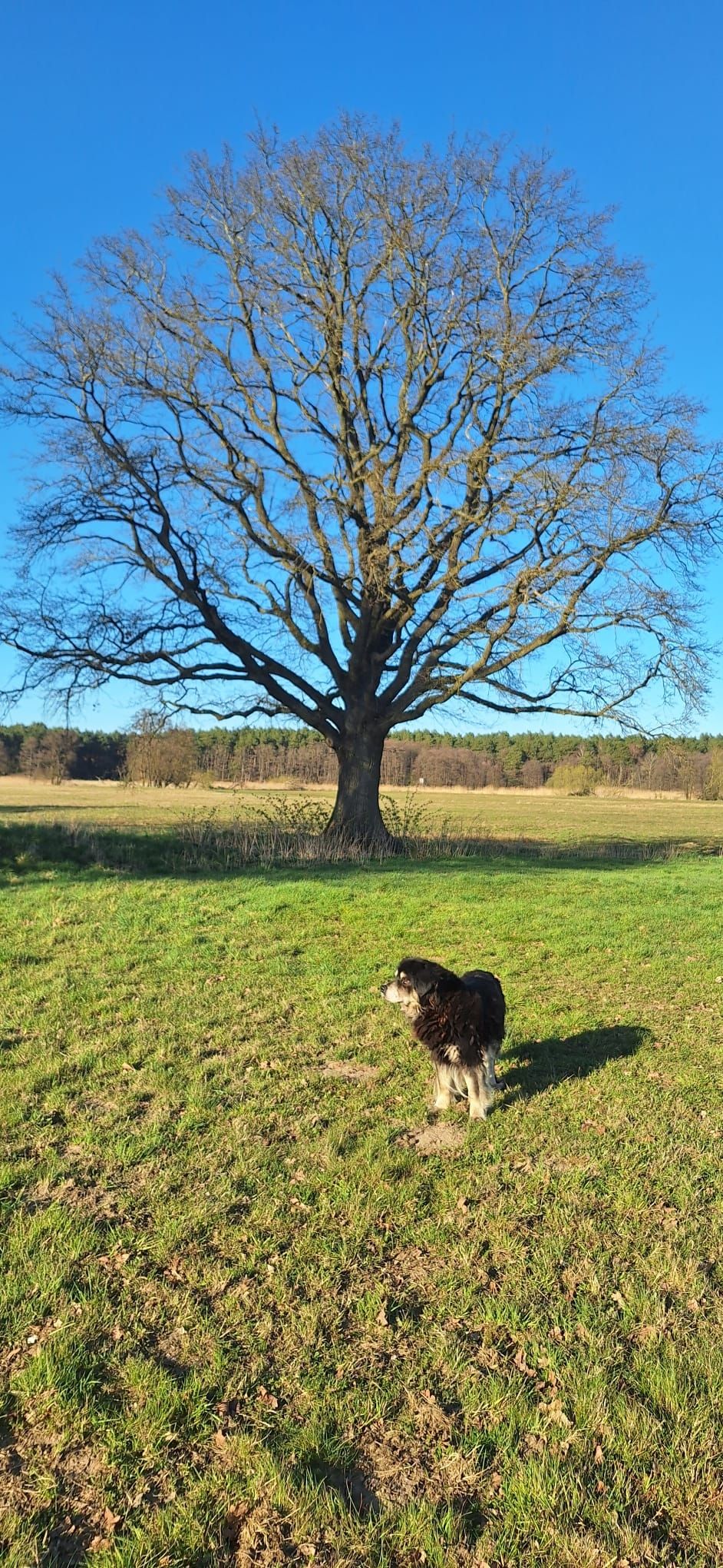 Large natural meadow next to the house: Peace and quiet, just 200 meters from the river