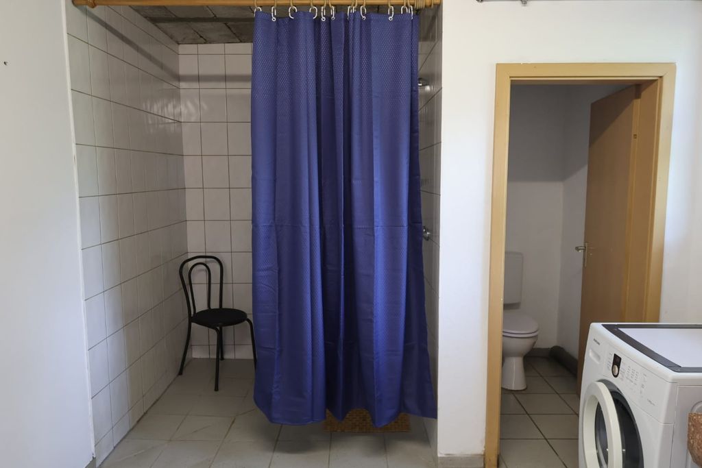 Posto direttamente sul prato degli alpaca