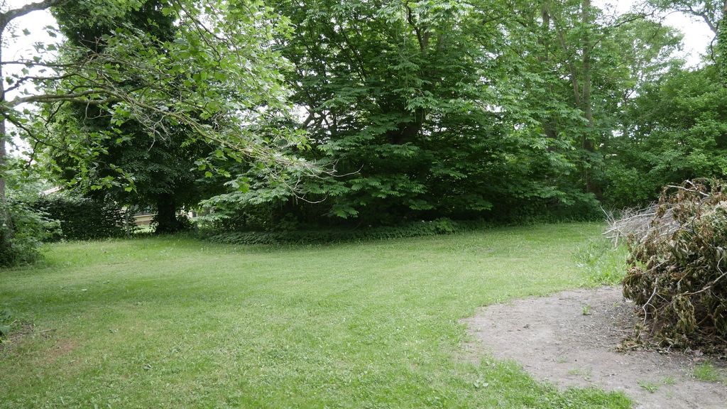 Under stars in the manor house garden