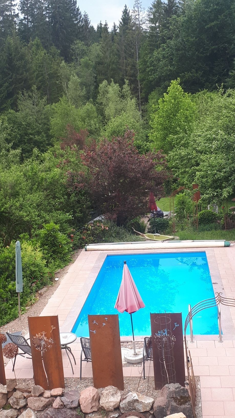 Lugar 3 Pradera de burros ......    En el aquí y ahora