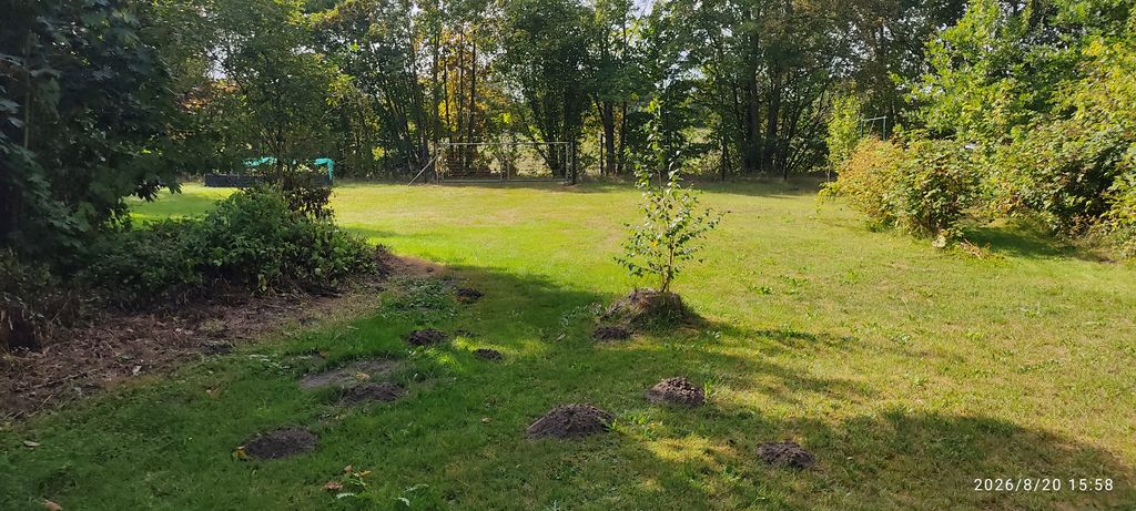 Wiesenblick - Parcheggio privato