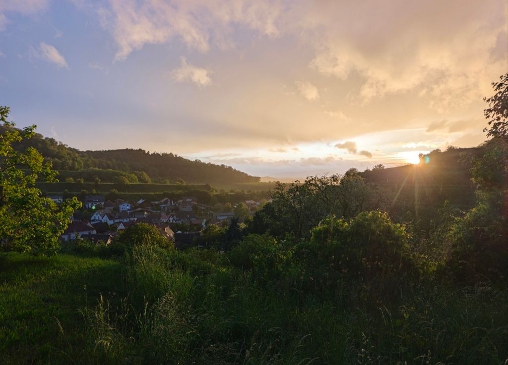 Amoltern Camping: Lookout Point with a View of the Vosges Mountains