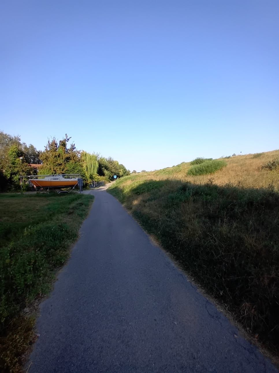 Wiese, Bäume und Natur pur im Po-Delta 
